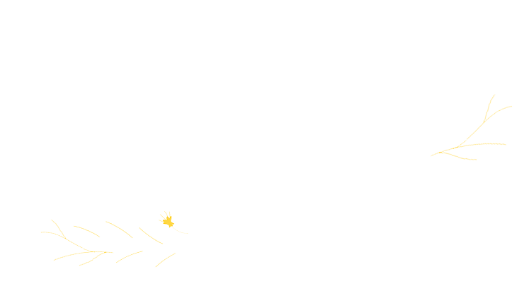 springtext